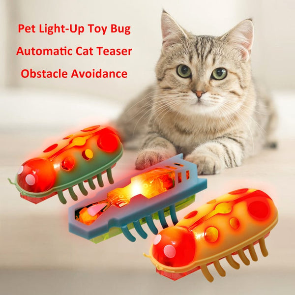 🐱Pet Electric Bug Toy🐞